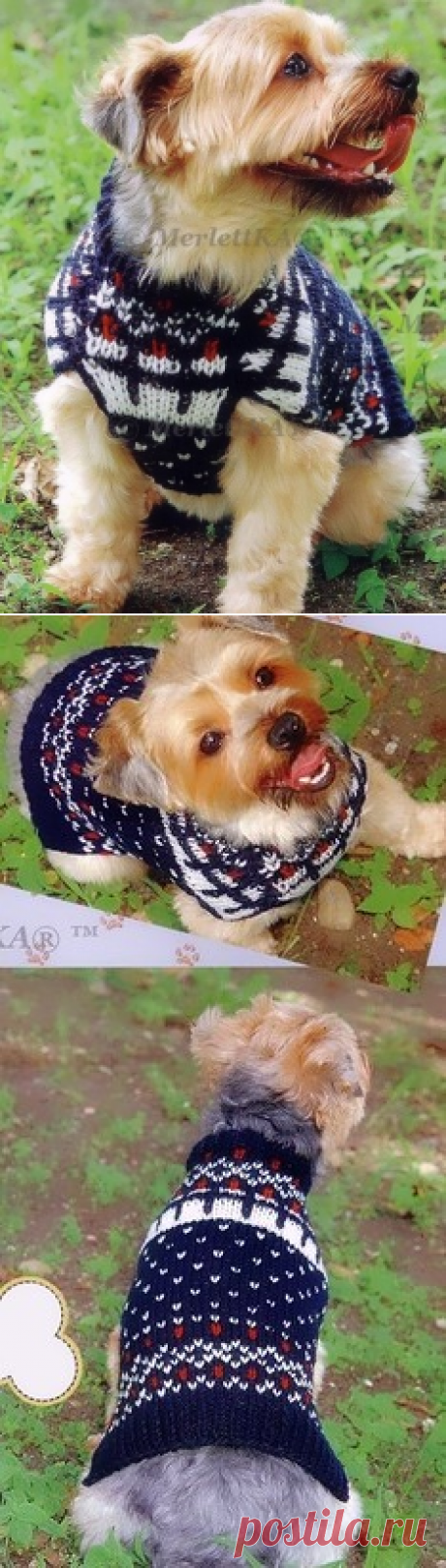 Утепляем любимок - вяжем безрукавку спицами.
