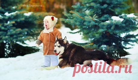 Чудо работы детского фотографа Ирины Сапроновой — Фотоискусство