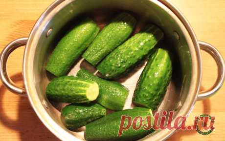 Любимый рецепт малосольных огурчиков: быстро и вкусно | Огород на подоконнике | Яндекс Дзен