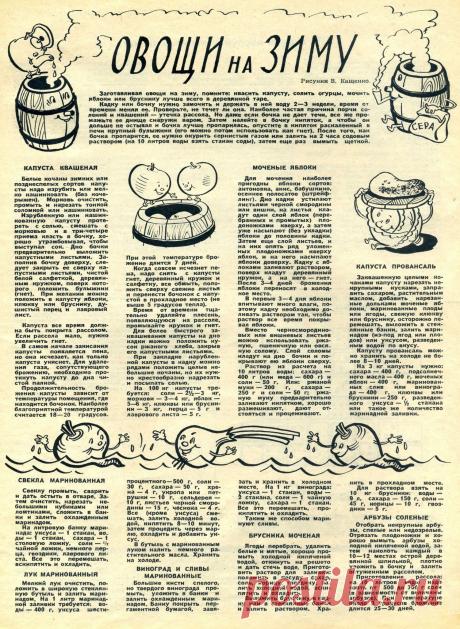 Овощи на зиму