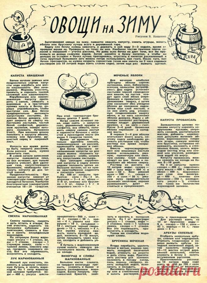 Овощи на зиму