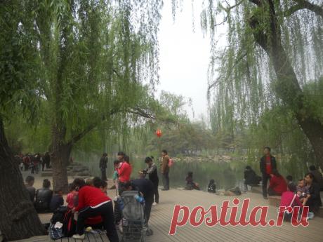 В Пекинском зоопарке