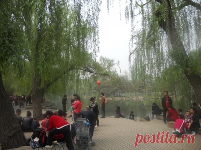 В Пекинском зоопарке