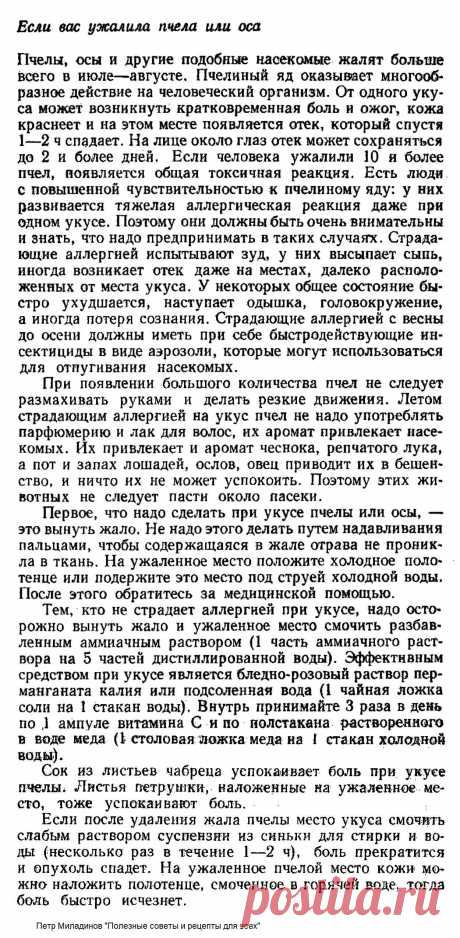 Если вас ужалила пчела или оса