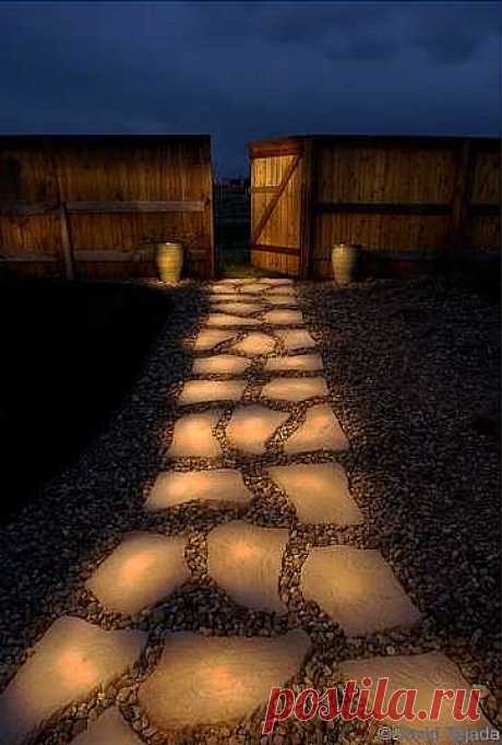 Pin by Lyle Barksdale on Back Yard