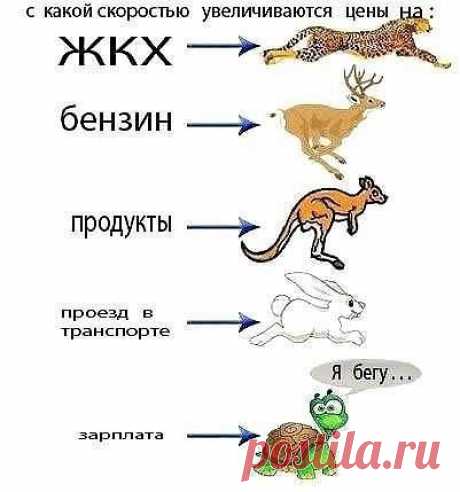 (99) Одноклассники