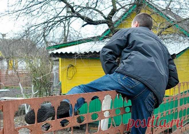 Дача в зоне риска. Как уберечь загородный участок от преступников Сезонные работы на даче давно закончены, да и отдыхать там зимой готов не каждый. В ноябре тысячи горожан оставляют свои дачи и участки на долгие зимние месяцы, и этим готовы воспользоваться злоумышленники. Так как уберечь свое имущество? 
