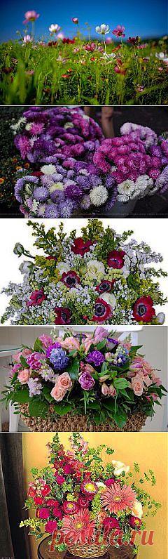 КОМПОЗИЦИИ ИЗ ЦВЕТОВ.