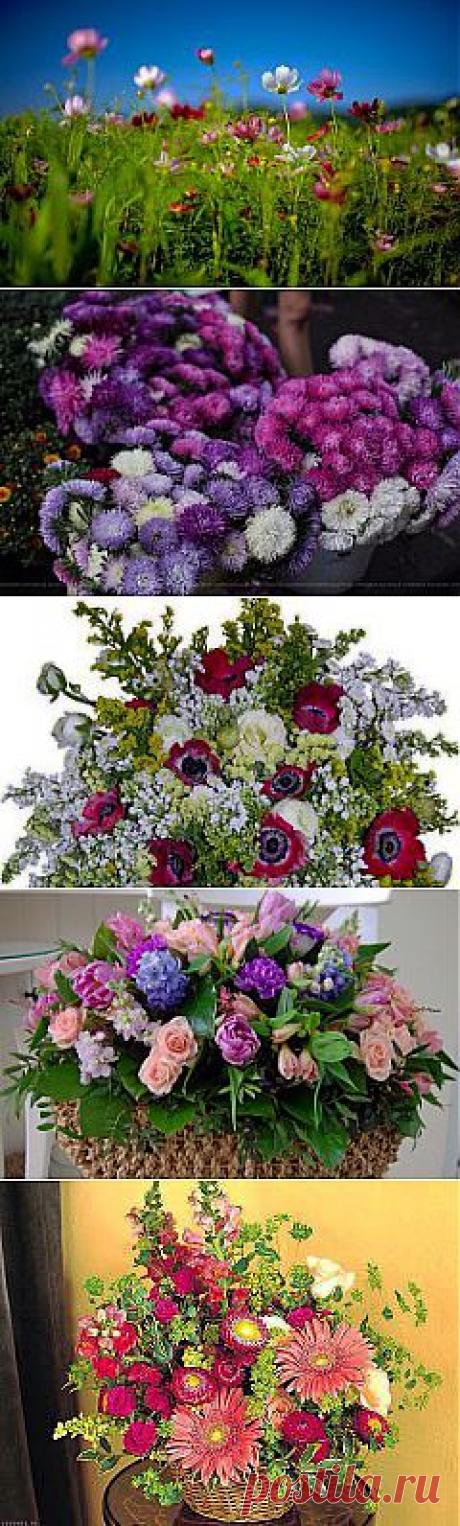 КОМПОЗИЦИИ ИЗ ЦВЕТОВ.