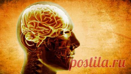 Как ваш образ мыслей может отразиться на состоянии здоровья? -