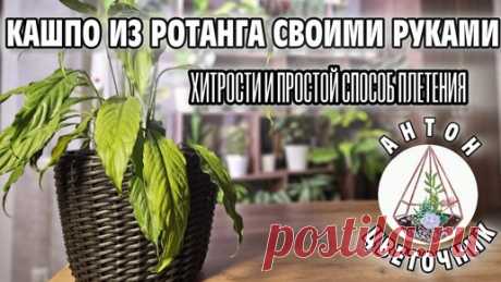Статьи, новости и видео от популярных блогеров и СМИ | Будь в теме — будь в Дзене