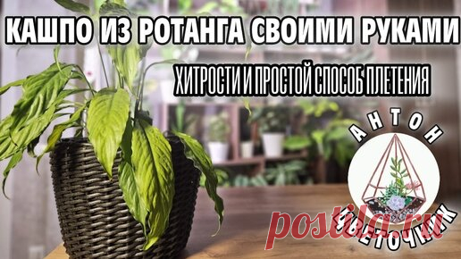 Статьи, новости и видео от популярных блогеров и СМИ | Будь в теме — будь в Дзене