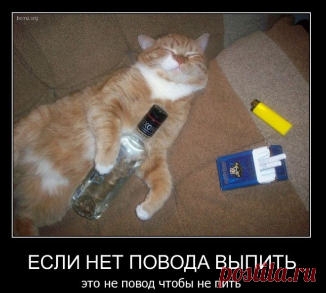 ОЧЕНЬ СМЕШНО! ВОТ ТАК И НАДО ПИСАТЬ О ЖИВОТНЫХ!!! БРАВО! | Это интересно!