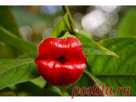 Мой Мир@Mail.Ru