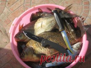 Как японцы чистят рыбу | Видео уроки для всех