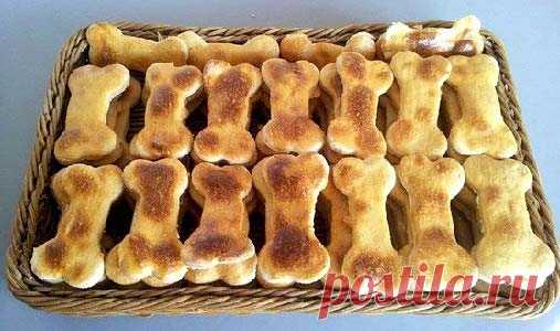 Лакомство для собак рецепт вкусных и полезных галет