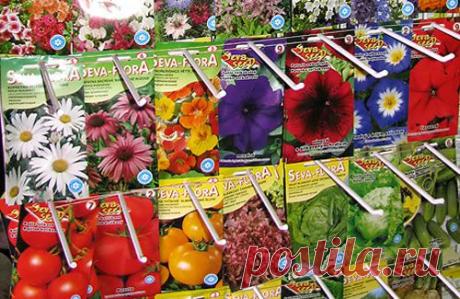 в чем еще можно проращивать