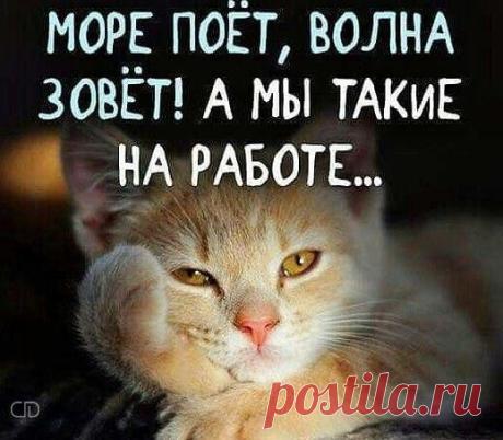 Женский дневник