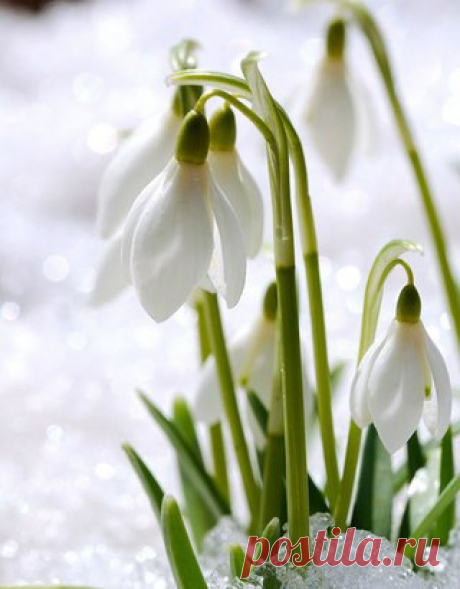 Восток... Такой загадочный и прекрасный!