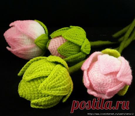 Лотос крючком. МК