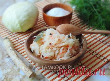 Капуста квашеная с хреном и морковью — рецепт с фото пошагово