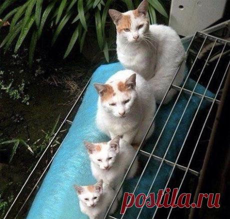 Новости