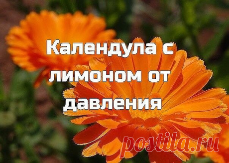 Κaлeндулa c лимoнoм oт дaвлeния