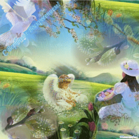 5250052.gif (800×800)