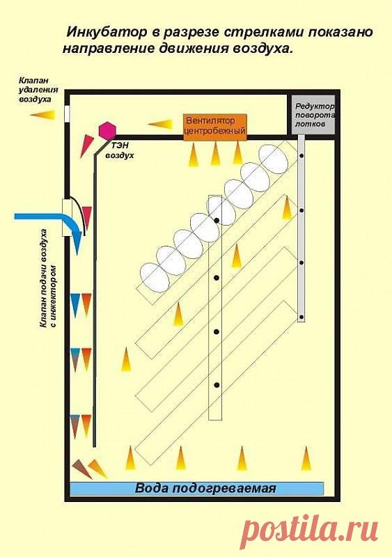 Терморегуляторы и приборы применяемые в самодельных инкубаторов.