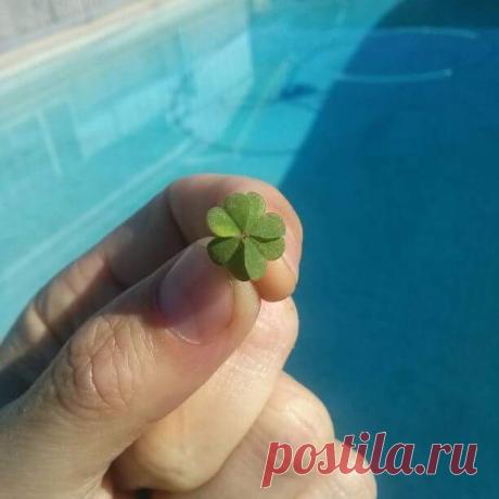 Очередная фотоподборка интересных фотографий - Лучшие фото из Интернета
