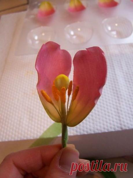 Найдено на сайте cakesdecor.com.