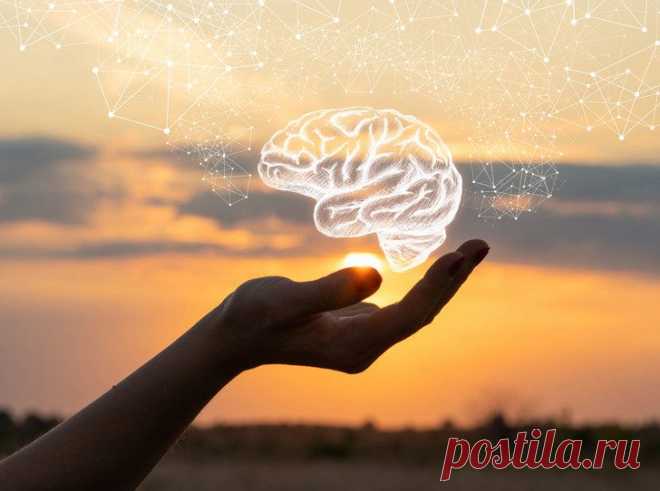 Как повысить работоспособность мозга / Будьте здоровы