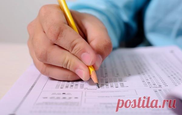 Опубликовано обновленное: расписание ОГЭ в 2021 году - Светлана Красотка, 26 апреля 2021