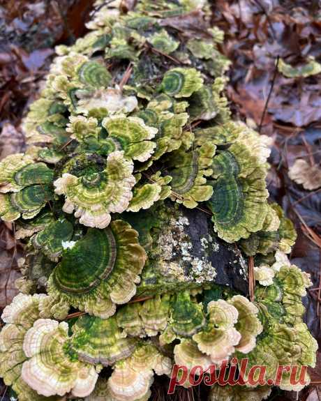 Photo by Pom Shillingford on January 01, 2022. May be an image of nature.