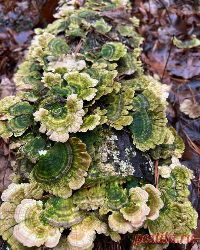 Photo by Pom Shillingford on January 01, 2022. May be an image of nature.