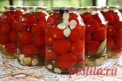 Сад, дача, огород, дом - за высокий урожай