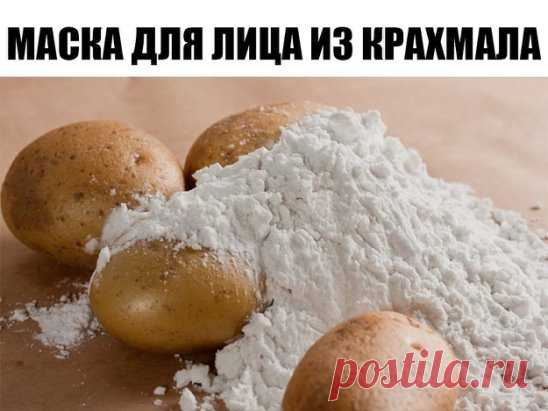 Моей подруге 64 года, и ей завидует каждый! Никаких проблем с кожей, морщинок не видать! 
Так уж повелось, что меня любят пожилые люди разного возраста. Бабушки, дедушки в троллейбусах — все мои, они хотят общаться, и я к этому привыкла. Уважаю людей в возрасте, всегда внимательно их слушаю, и не только незнакомых старичков. Могу сказать с гордостью, что у меня есть друзья в 2 раза старше меня. 
Бесценный рецепт маски из крахмала мне рассказала женщина, которой я не устану восхищаться. На досуге