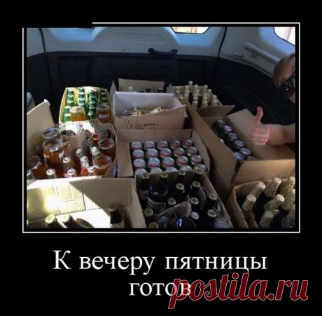 Демотиваторы (30 фото) » Триникси