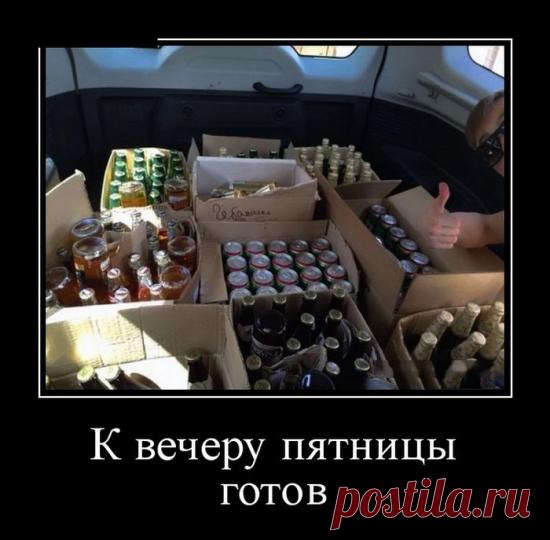 Демотиваторы (30 фото) » Триникси