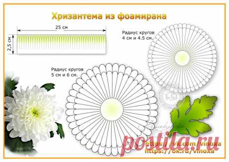 Выкройка хризантемы из фоамирана. 
Сохраняй в свою цветочную копилку.
Ещё больше выкроек в том числе для распечатывания здесь:
  https://ok.ru/vinoxa/album/52821920841874
Мастер-классом можно воспользоваться этим:
https://ok.ru/vinoxa/topic/70007299814802
#хризантема_vinoxa
#выкройка_хризантемы_vinoxa
