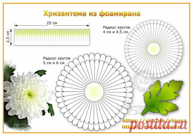 Выкройка хризантемы из фоамирана. 
Сохраняй в свою цветочную копилку.
Ещё больше выкроек в том числе для распечатывания здесь:
  https://ok.ru/vinoxa/album/52821920841874
Мастер-классом можно воспользоваться этим:
https://ok.ru/vinoxa/topic/70007299814802
#хризантема_vinoxa
#выкройка_хризантемы_vinoxa