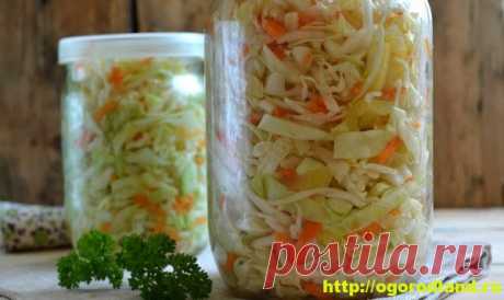 Быстрая маринованная капуста. Пошаговый рецепт приготовления