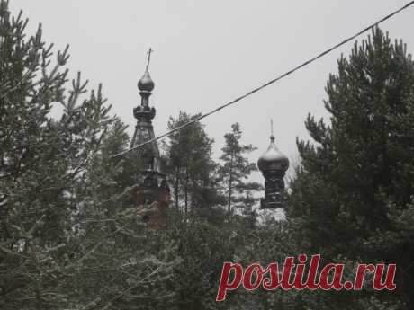 Маковки цкркви Покрова Пресвятой Богородицы в д. Хотнежа. Если церковь не начнут срочно спасать, мы её вскоре не увидим никогда: она рухнет.