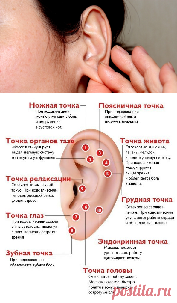 Зарядка для ушей бодрит не хуже, чем чашка кофе.