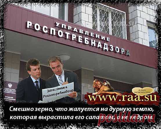 Заявление в Роспотребнадзор. Жалоба в Роспотребнадзор как написать.