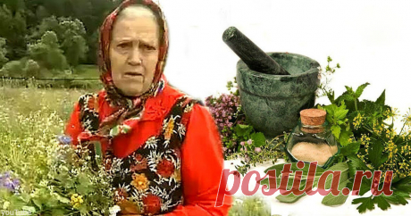 Есть 3 ″сорняка″, которые помогают восстановить хрящи и кости. Вот они - Аромат жизни И не надо в аптеку! Известная травница Елена Федоровна Зайцева интересовалась фитотерапией с 8 лет. Она знает о свойствах более чем 1100 видов