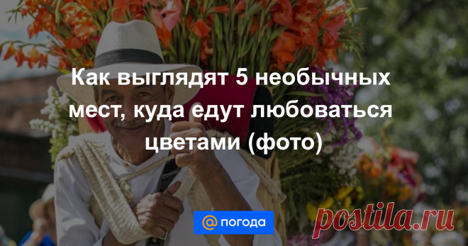 Как выглядят 5 необычных мест, куда едут любоваться цветами (фото) С приходом весны все сложнее усидеть в офисе — первая зелень так и манит прогуляться по парку или выбраться в лес. Для тех, кто вынужден пока отложить общение с природой, предлагаем обзор неочевидных мест, готовых поразить буйством цветов каждого...