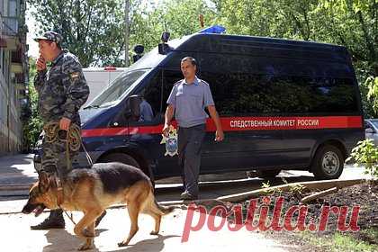 Напавшая с ножом на свою семью девочка дала показания российским полицейским