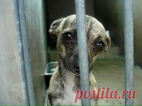 Сегодня я спас человека... - МирТесен