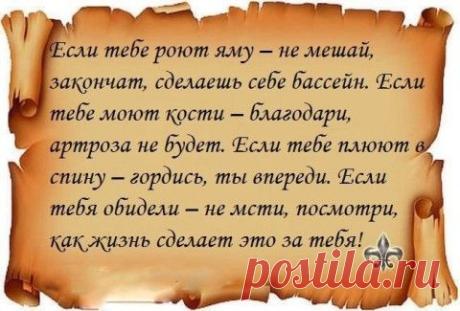 Мудрость жизни